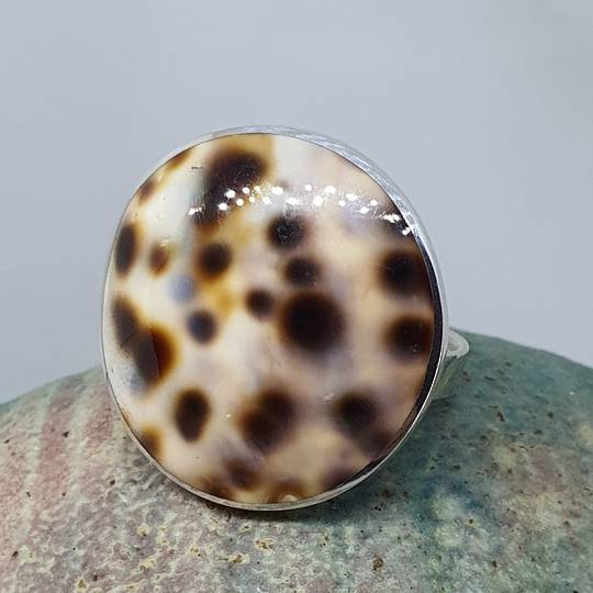 Large round cowrie shell silver ring - flexifit Size O - R