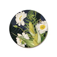 Mt Cook Lily NZ Coaster