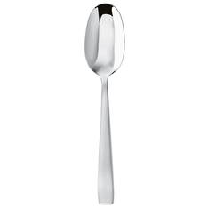 Flat Serving Spoon