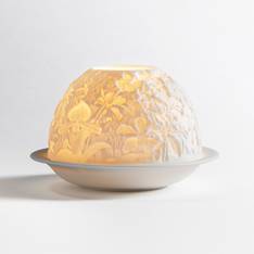 Lithophane 'Orchids'
