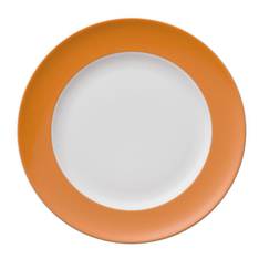 Sunny Day Orange Lunch Plate