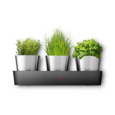 Indoor Herb Garden