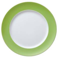 Sunny Day Apple Green Dinner Plate
