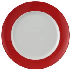 Sunny Day Red Lunch Plate
