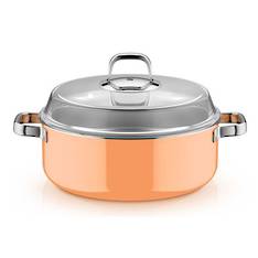 Fusiontec Mineral Papaya Round Roaster image 0