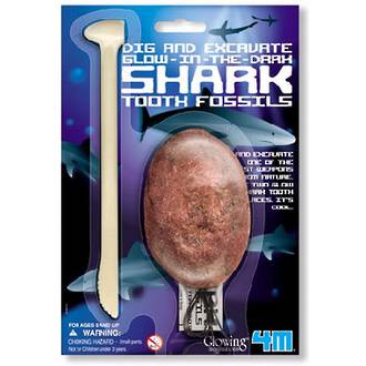 4M Dig a Glow Shark Tooth