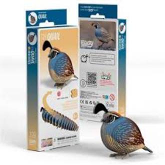 Eugy 3D Cardboard Model Kit Quail