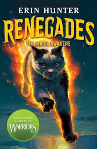 Renegades #1 the Magic Awakens